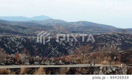 山焼きあとの日が沈みかけたカルスト台地 山焼きあとの日が沈みかけたカルスト台地 89426939