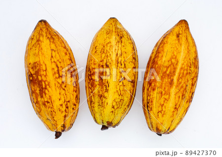 Cocoa fruit isolated on white background Cocoa fruit isolated on white background 89427370