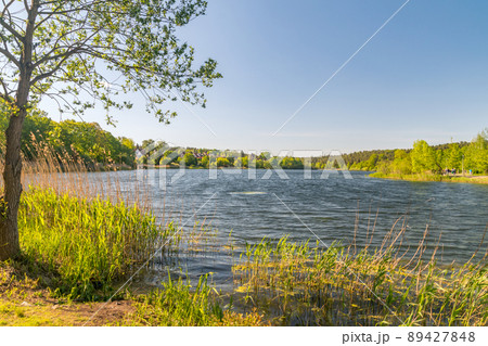 Long lake (Dlugie) at sunny day in Olsztyn, Poland. 89427848