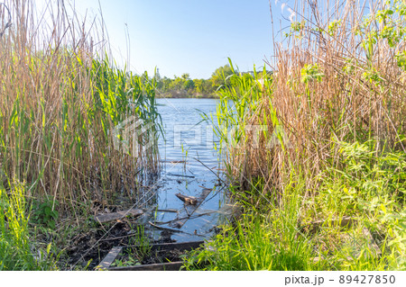 View on Czarne (Black) Lake at sunny day in Olsztyn, Poland. 89427850