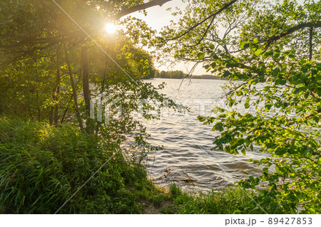 Sunset view between trees at Ukiel lake in Olsztyn, Poland. 89427853