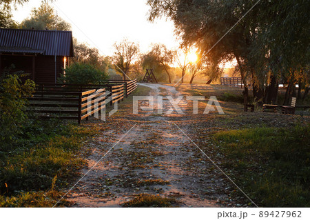 Beautiful autumn landscape with sunset among the green and orange trees. Picturesque place with lake 89427962