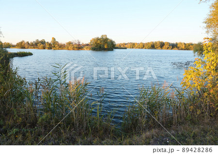 Beautiful autumn landscape with lake and multicoloral trees. Picturesque place with lake and tall trees Beautiful autumn landscape with lake and multicoloral trees. Picturesque place with lake and tall trees 89428286