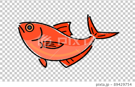 紅鯛魚 89429754