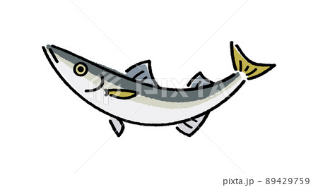 カマス カマス 89429759