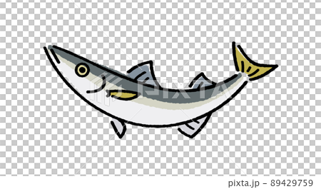 カマス カマス 89429759