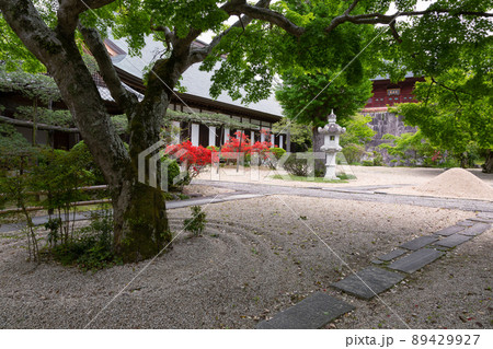 春の曜光山月山寺の境内と客殿【茨城県桜川市】 春の曜光山月山寺の境内と客殿【茨城県桜川市】 89429927