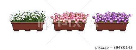 プランターの花のイラスト素材