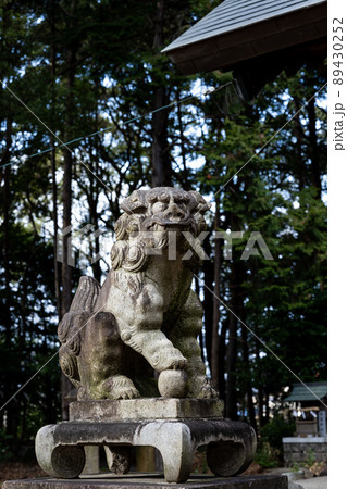 神社の狛犬 89430252