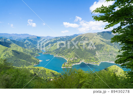 サス沢山の山頂から見た奥多摩湖 89430278