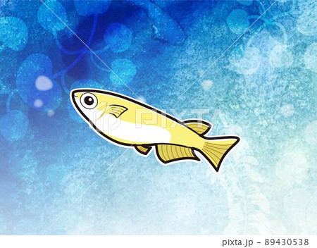 メダカづくし絵模様の水差し メダカのいる水中の水彩画（グラデーション）のイラスト素材 [89430538