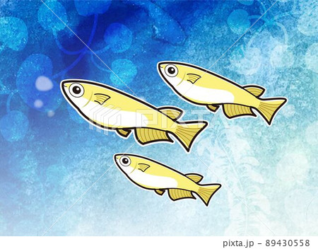 メダカのいる水中の水彩画(グラデーション) メダカのいる水中の水彩画(グラデーション) 89430558