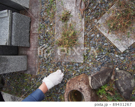 墓掃除で草むしり 墓掃除で草むしり 89431267