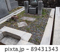 掃除前の墓 89431343