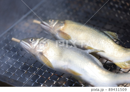 網で鮎の塩焼き 89431509