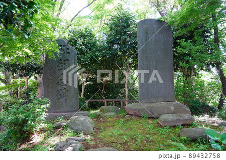 八景の棚 ～神奈川県相模原市～ 89432758