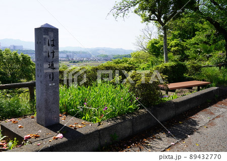 八景の棚 はけ通り ～神奈川県相模原市～ 89432770