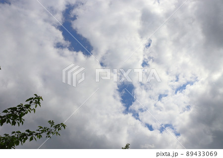 青空　雲　木 89433069