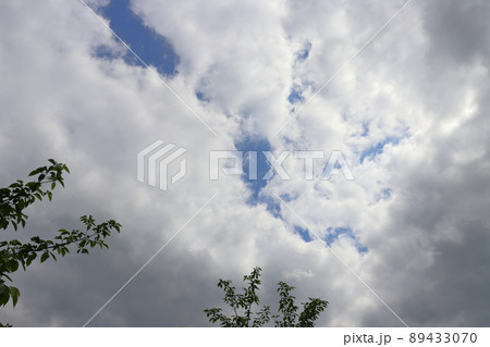 青空 雲 木 青空 雲 木 89433070