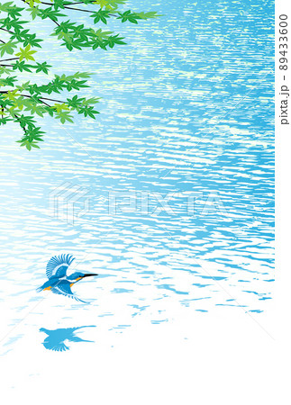 カワセミ　縦　暑中見舞 89433600