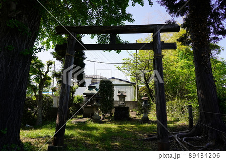 山王社 ~相模原市南区~ 山王社 ~相模原市南区~ 89434206
