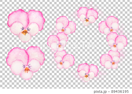 パンジー 89436195