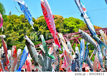 佐賀県　風薫る川上峡に泳ぐ五月鯉 89436653