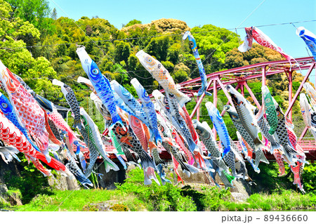 佐賀県 風薫る川上峡に泳ぐ五月鯉 佐賀県 風薫る川上峡に泳ぐ五月鯉 89436660