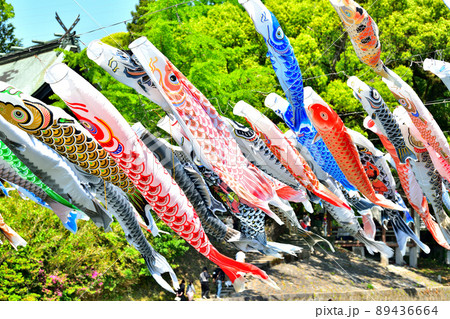 佐賀県　風薫る川上峡に泳ぐ五月鯉 89436664