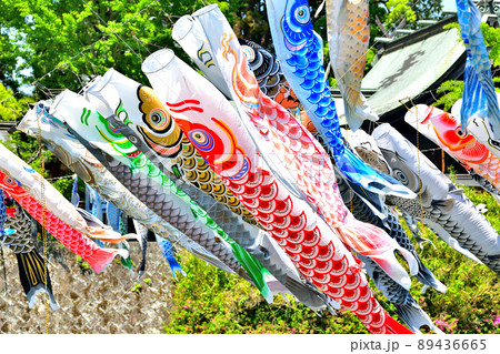 佐賀県 風薫る川上峡に泳ぐ五月鯉 佐賀県 風薫る川上峡に泳ぐ五月鯉 89436665