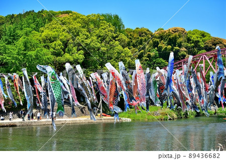 佐賀県 風薫る川上峡に泳ぐ五月鯉 佐賀県 風薫る川上峡に泳ぐ五月鯉 89436682