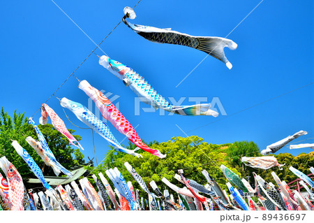 佐賀県　風薫る川上峡に泳ぐ五月鯉 89436697