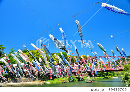 佐賀県　風薫る川上峡に泳ぐ五月鯉 89436706