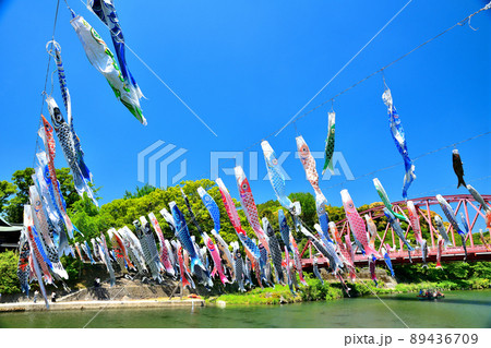 佐賀県　風薫る川上峡に泳ぐ五月鯉 89436709