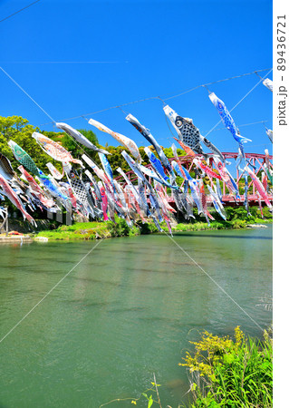 佐賀県　風薫る川上峡に泳ぐ五月鯉 89436721
