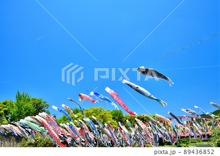 佐賀県　風薫る川上峡に泳ぐ五月鯉 89436852