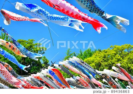 佐賀県 風薫る川上峡に泳ぐ五月鯉 佐賀県 風薫る川上峡に泳ぐ五月鯉 89436863