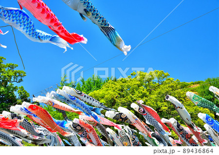 佐賀県　風薫る川上峡に泳ぐ五月鯉 89436864