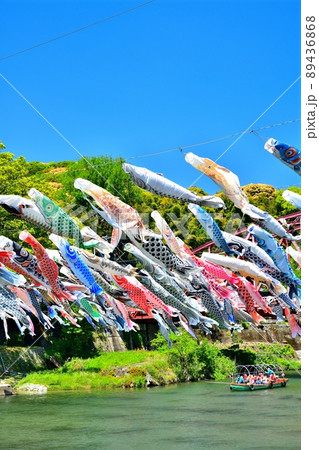 佐賀県　風薫る川上峡に泳ぐ五月鯉 89436868