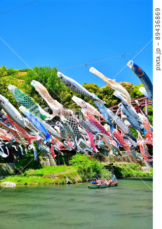 佐賀県　風薫る川上峡に泳ぐ五月鯉 89436869