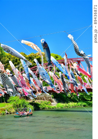 佐賀県　風薫る川上峡に泳ぐ五月鯉 89436871