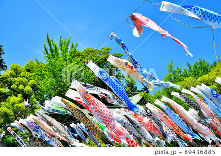 佐賀県　風薫る川上峡に泳ぐ五月鯉 89436885