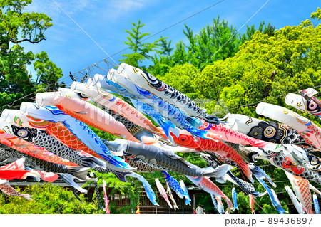 佐賀県　風薫る川上峡に泳ぐ五月鯉 89436897