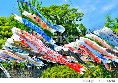 佐賀県　風薫る川上峡に泳ぐ五月鯉 89436898