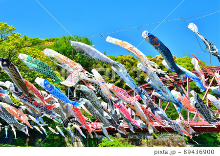 佐賀県　風薫る川上峡に泳ぐ五月鯉 89436900