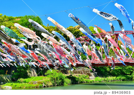 佐賀県 風薫る川上峡に泳ぐ五月鯉 佐賀県 風薫る川上峡に泳ぐ五月鯉 89436903