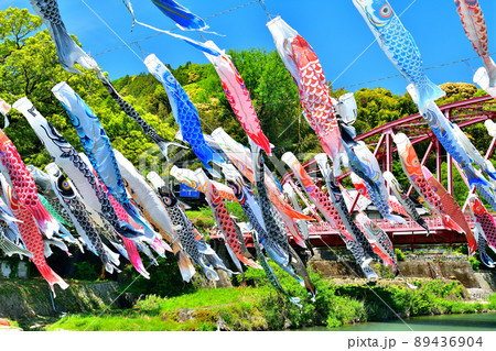 佐賀県　風薫る川上峡に泳ぐ五月鯉 89436904