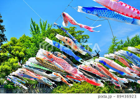 佐賀県 風薫る川上峡に泳ぐ五月鯉 佐賀県 風薫る川上峡に泳ぐ五月鯉 89436923