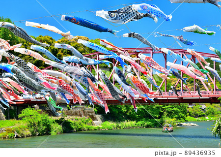 佐賀県　風薫る川上峡に泳ぐ五月鯉 89436935