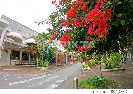 中央パークアベニュー コザ 沖縄県 沖縄市 89437332